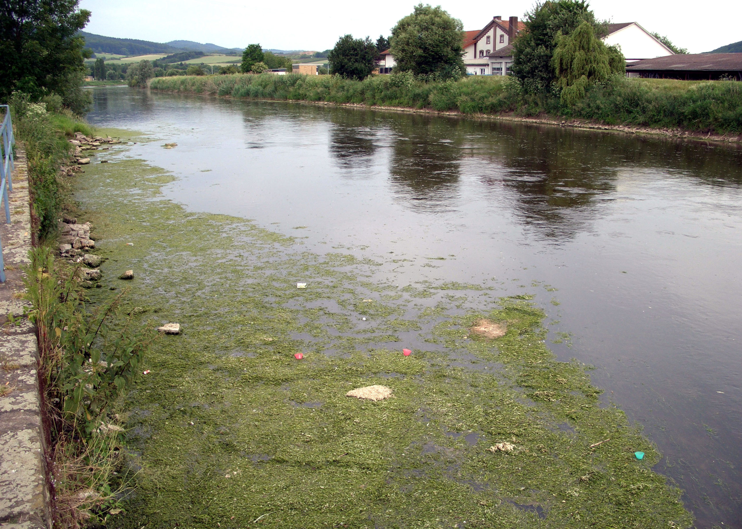 Ziel des Bewirtschaftungsplans für Werra und Weser ist die Aufhebung des Gewässerschutzes